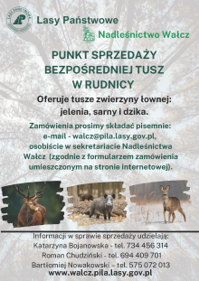 Sprzedaż bezpośrednia dziczyzny